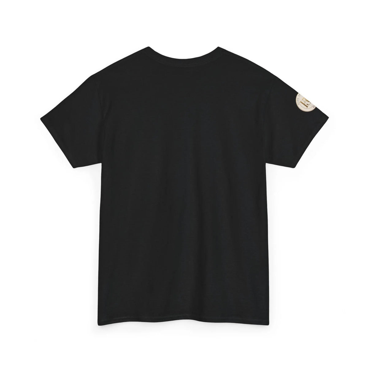 Older, Wiser, Harder to Fool T-Shirt