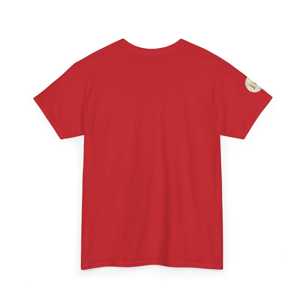 Older, Wiser, Harder to Fool T-Shirt